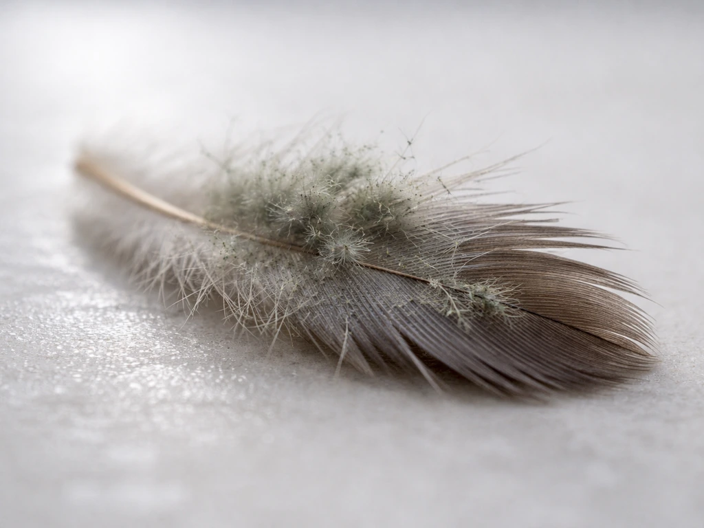 Close-up of a feather fragment with subtle fuzzy mold growth in soft damp light