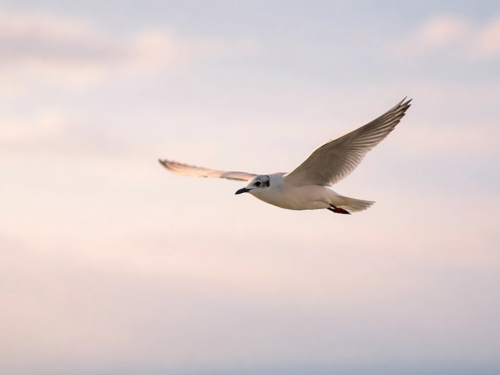 Minimal photo of a bird wing in flight over a blurred sky, symbolizing efficient oxygen transport