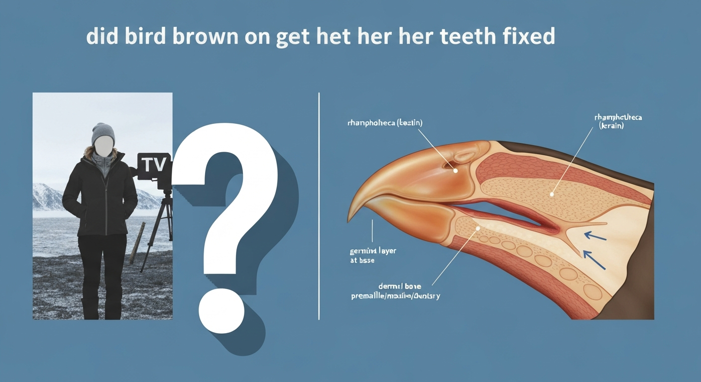 Split editorial illustration: left—anonymous silhouette of a woman with a question mark and TV camera icon; right—scientific cross-section of a bird beak showing rhamphotheca (keratin) over underlying bone, with labels.