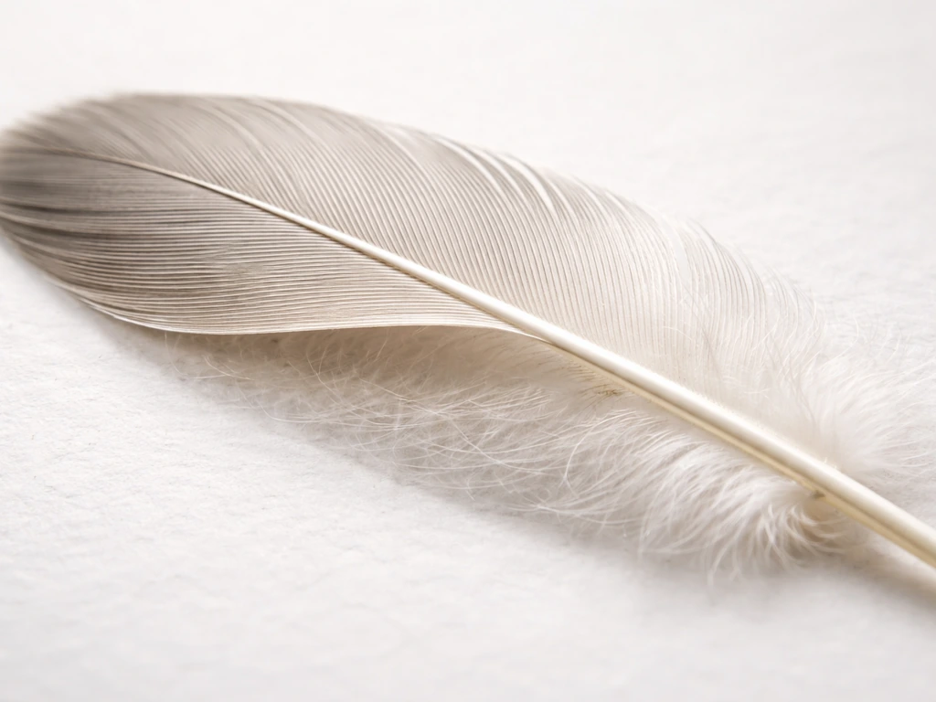 Are Bird Feathers Dirty? How Clean They Are and When to Clean