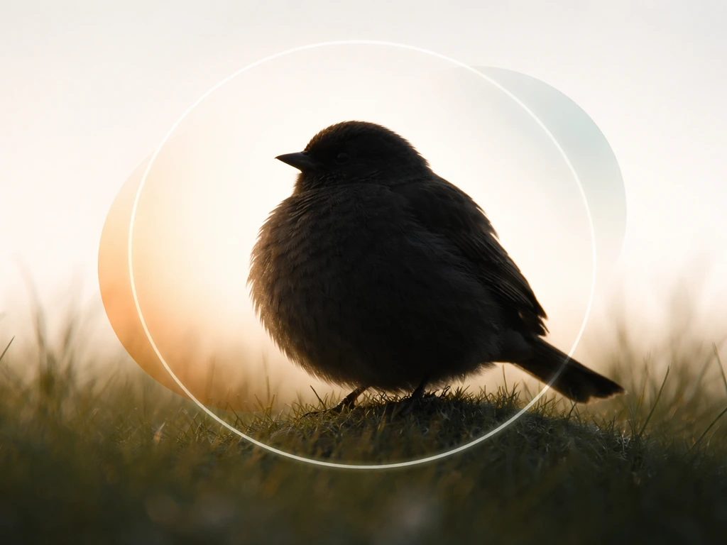 What Is the Fattest Bird? Mass and Fat Explained